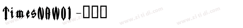 TimesNRW01 字体转换